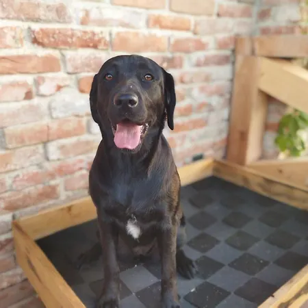 U Ondrika Apartment *